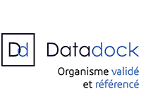 logo data dock